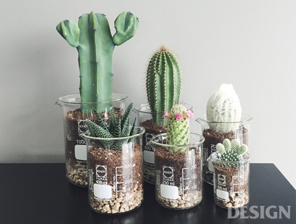 슬로우파마씨 이미지