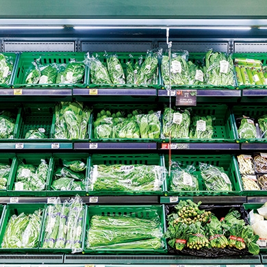 대체할 수 있을까? Plastic Food Package