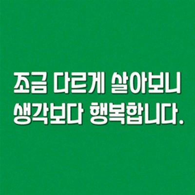 양진체_김양진
